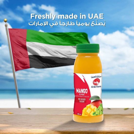 Picture of Al Ain Mango And Grape Nectar 200ml(N)