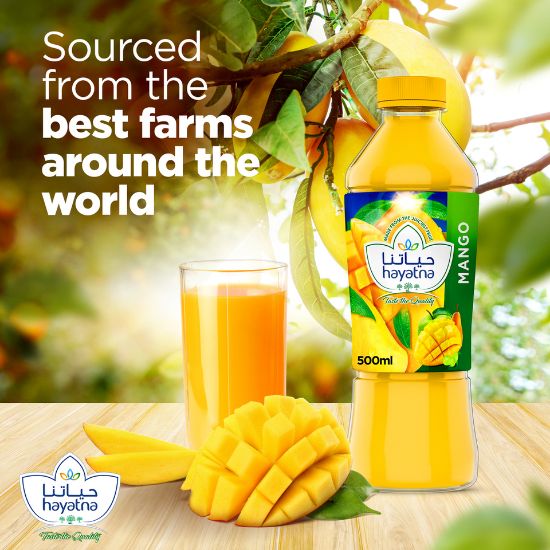 Picture of Hayatna No Added Sugar 100% Pure Mango Nectar 500ml(N)