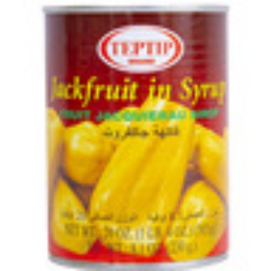 Picture of Teptip Jackfruit In Syrup 565g(N)