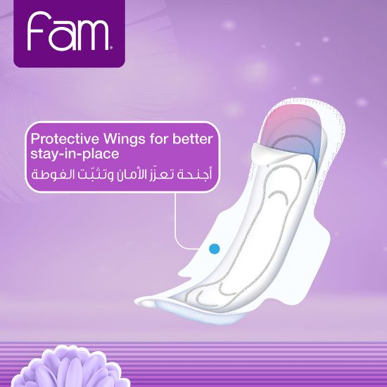 Picture of Fam Sanitary Pads Folded With Wings 50pcs