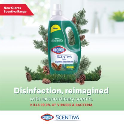 Picture of Clorox Scentiva Mediterranean Pine Forest Multipurpose Disinfectant Floor Cleaner 1.5 Litres