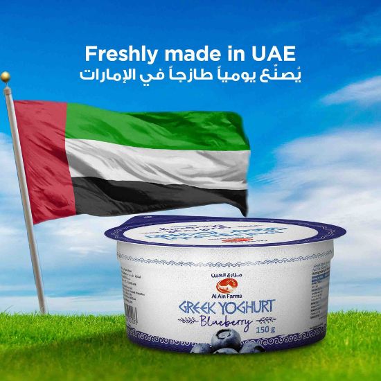 Picture of Al Ain Blueberry Greek Yoghurt 150 g(N)