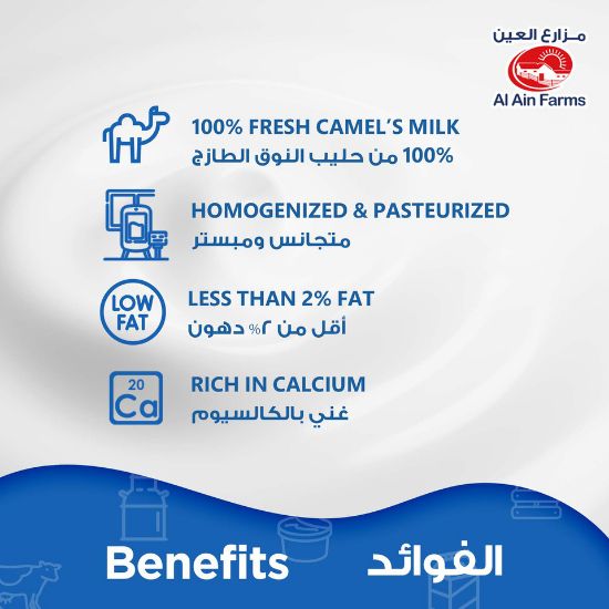 Picture of Al Ain Low Fat Camelait Fresh Camel Milk 500ml(N)