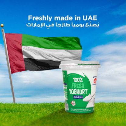 Picture of Al Ain Fresh Full Cream Yoghurt 400g(N)