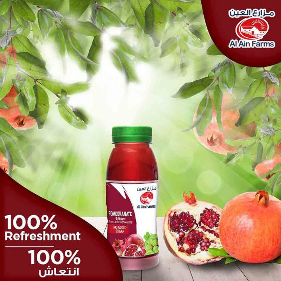 Picture of Al Ain Pomegranate And Grape Nectar 200ml(N)