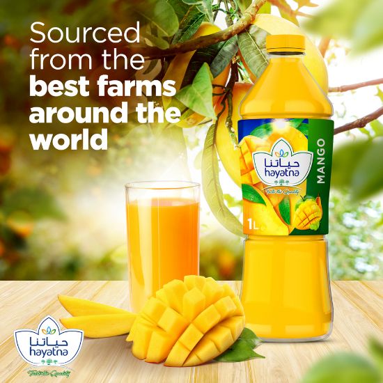 Picture of Hayatna No Added Sugar 100% Pure Mango Nectar 1 Litre(N)