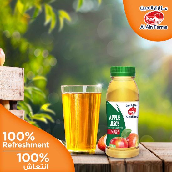 Picture of Al Ain Apple Juice 200ml(N)