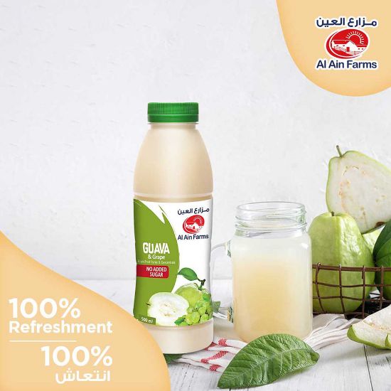 Picture of Al Ain Guava And Grape Nectar 500ml(N)