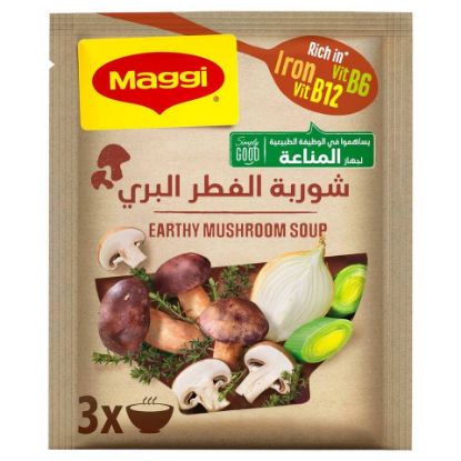 Picture of Maggi Earthy Mushroom Soup 53g(N)