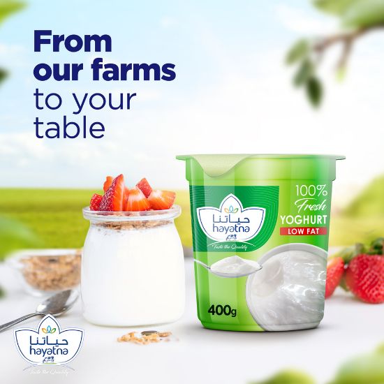 Picture of Hayatna Low Fat Yoghurt 400 g(N)