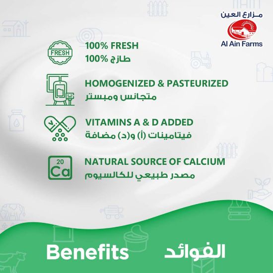 Picture of Al Ain Fresh Full Cream Yoghurt 400g(N)