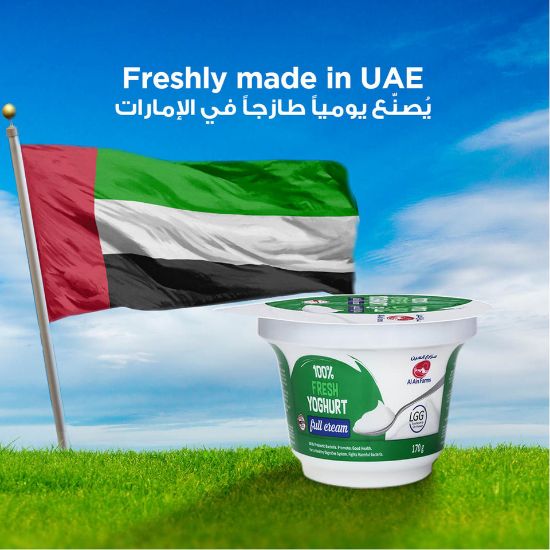 Picture of Al Ain Fresh Full Cream Yoghurt 170g(N)