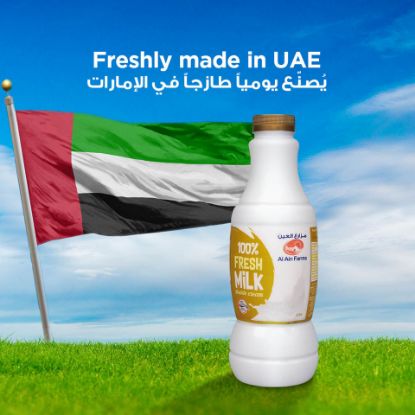 Picture of Al Ain Fresh Milk Double Cream 1Litre(N)