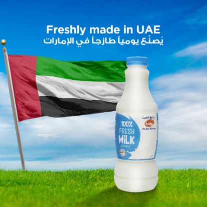 Picture of Al Ain Fresh Milk Skimmed 1Litre(N)