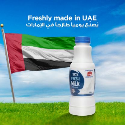 Picture of Al Ain Fresh Milk Full Cream 500ml(N)