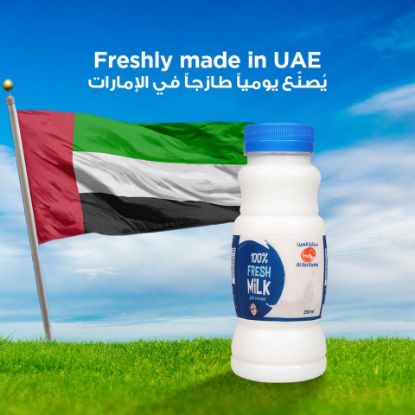 Picture of Al Ain Fresh Milk Full Cream 250ml(N)