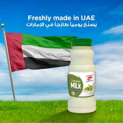 Picture of Al Ain Cardamom Milk 250ml(N)