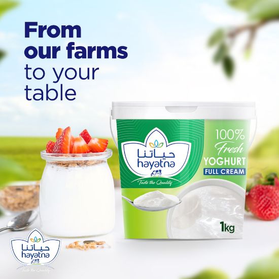 Picture of Hayatna Full Cream Yoghurt 1 kg(N)