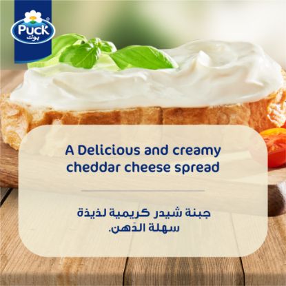 Picture of Puck Cheddar Cream Cheese Spread Jar 240g