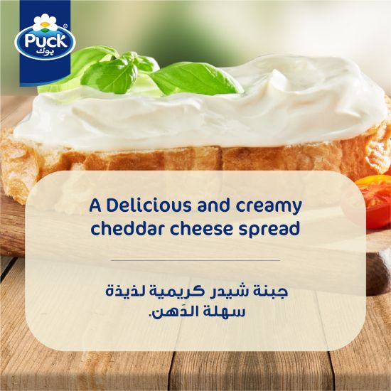 Picture of Puck Cheddar Cream Cheese Spread Jar 240g