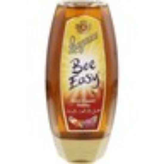 Picture of Langnese Bee Easy Wild Flower Honey 500g(N)