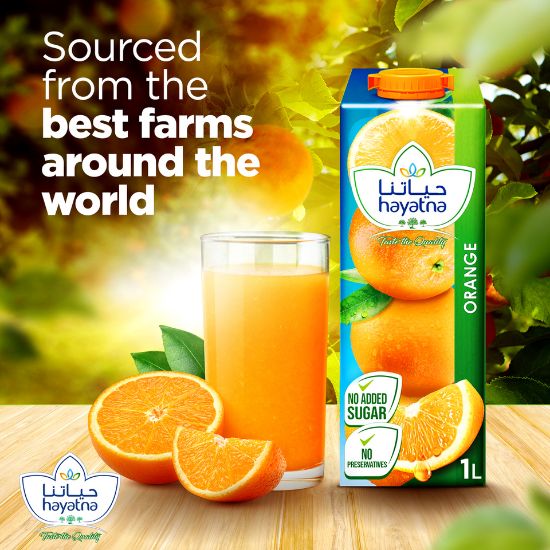 Picture of Hayatna No Added Sugar Orange Juice 1 Litre(N)