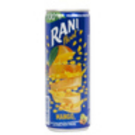 Picture of Rani Float Mango Fruit Drink 240ml(N)