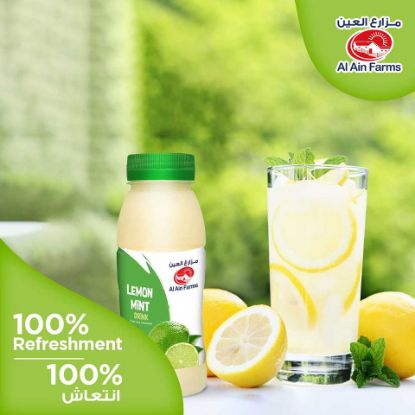 Picture of Al Ain Lemon Mint Juice 200ml(N)