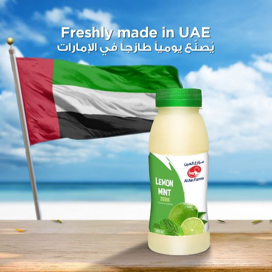 Picture of Al Ain Lemon Mint Juice 200ml(N)