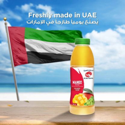 Picture of Al Ain Mango And Grape Nectar 500ml(N)