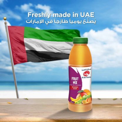 Picture of Al Ain Fruit Mix Nectar 500ml(N)