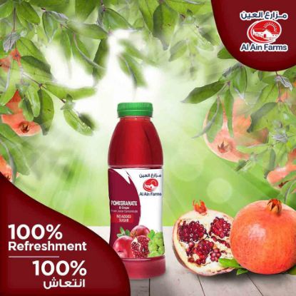 Picture of Al Ain Pomegranate & Grape 500ml(N)