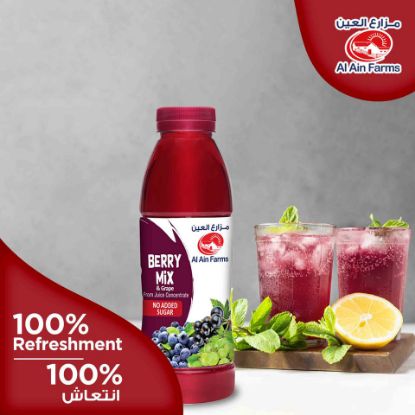 Picture of Al Ain Berry Mix & Grape Juice No Added Sugar 500ml(N)