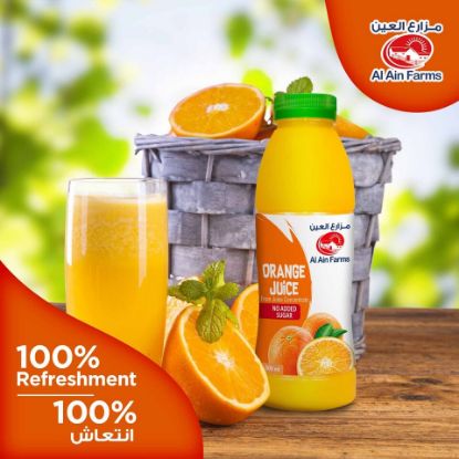 Picture of Al Ain Orange Juice 500ml(N)