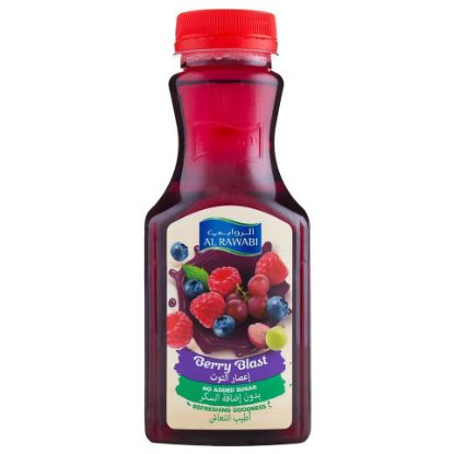 Picture of Al Rawabi Berry Blast Juice No Added Sugar 350ml(N)