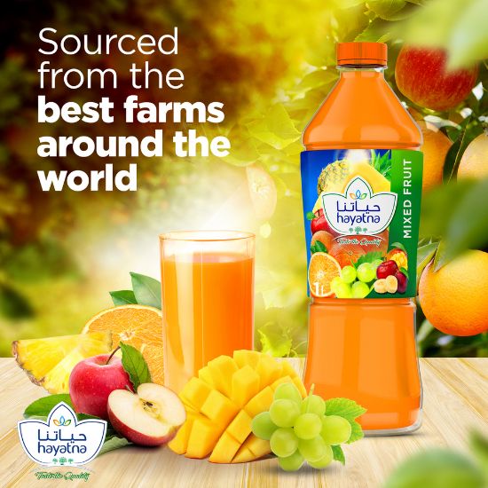 Picture of Hayatna No Added Sugar 100% Pure Mixed Fruit Nectar 1 Litre(N)