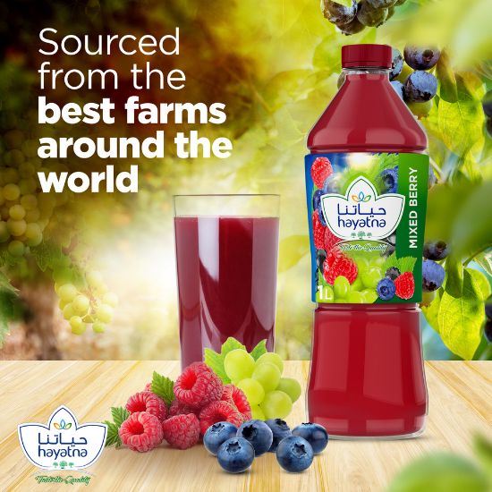 Picture of Hayatna No Added Sugar 100% Pure Mixed Berry Nectar 1 Litre(N)