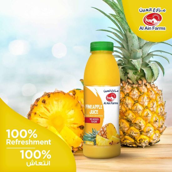 Picture of Al Ain Pineapple Juice 500ml(N)