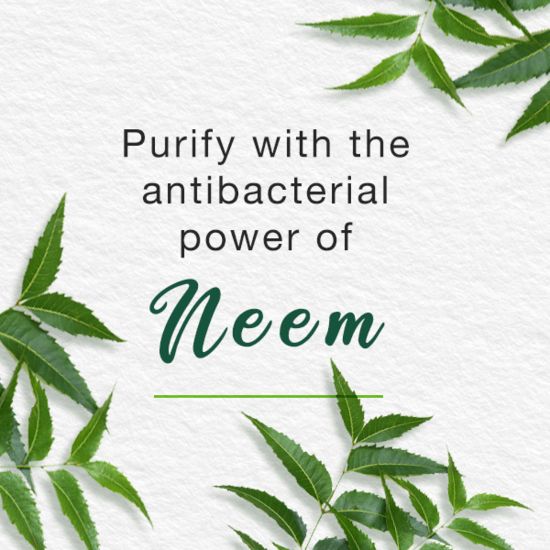 Picture of Himalaya Face Wash Purifying Neem 150ml