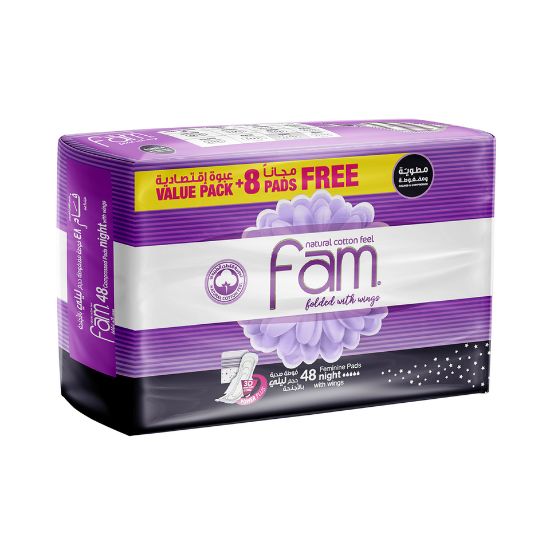 Picture of Fam Night Sanitary Pads Folded With Wings 48pcs