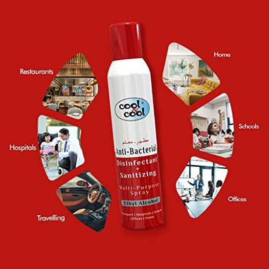 Picture of Cool & Cool Anti-Bacterial Disinfectant + Sanitizing Multi-Purpose Spray 300 ml