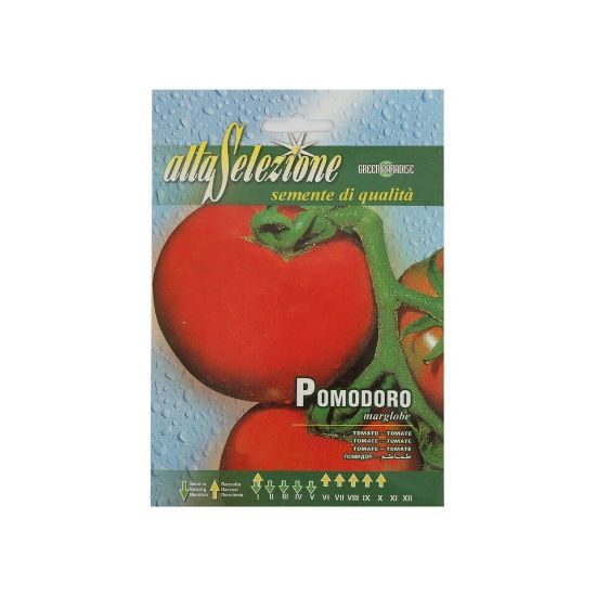 Picture of Alta Tomato Marglobe Seeds106/17-AS