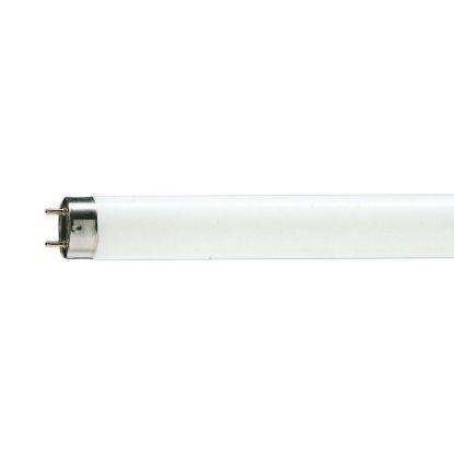 Picture of Philips Tube TLD 18W/54 2 Feet