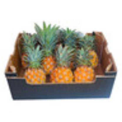 Picture of Baby Pineapple South Africa Box(N)