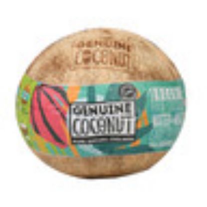 Picture of Genuine Coconut Organic Tender Raw Coconut 1 pc(N)