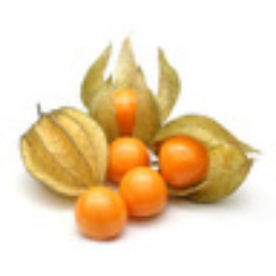 Picture of Physalis Columbia 1pkt(N)