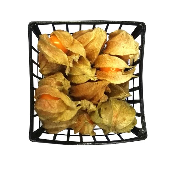 Picture of Physalis Columbia 1pkt(N)