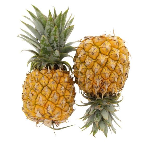 Picture of Baby Pineapple South Africa 1pc(N)