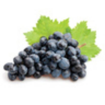 Picture of Grapes Black South Africa 500 g(N)