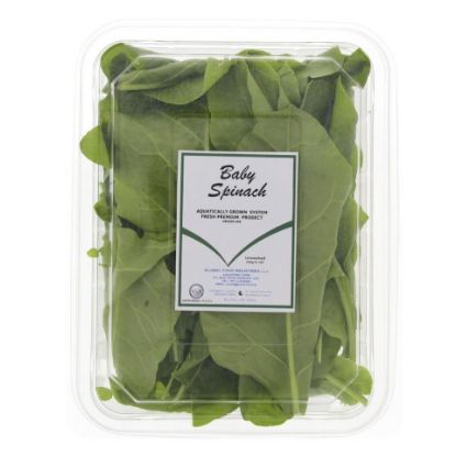 Picture of Baby Spinach Leaves UAE 1pkt(N)